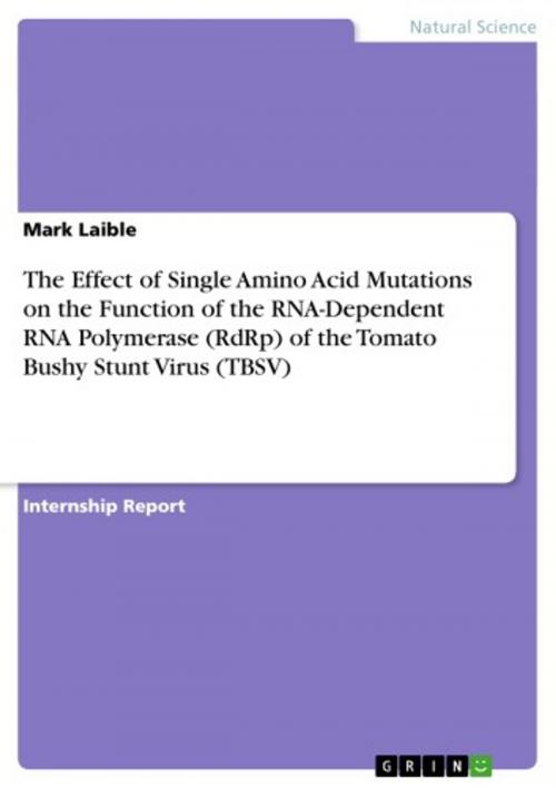 Cover of the book The Effect of Single Amino Acid Mutations on the Function of the RNA-Dependent RNA Polymerase (RdRp) of the Tomato Bushy Stunt Virus (TBSV) by Mark Laible, GRIN Verlag