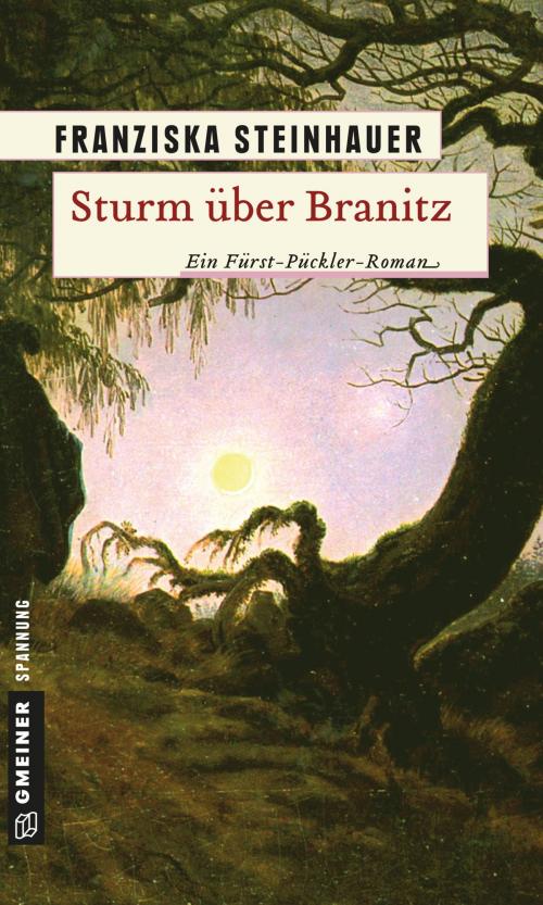 Cover of the book Sturm über Branitz by Franziska Steinhauer, GMEINER