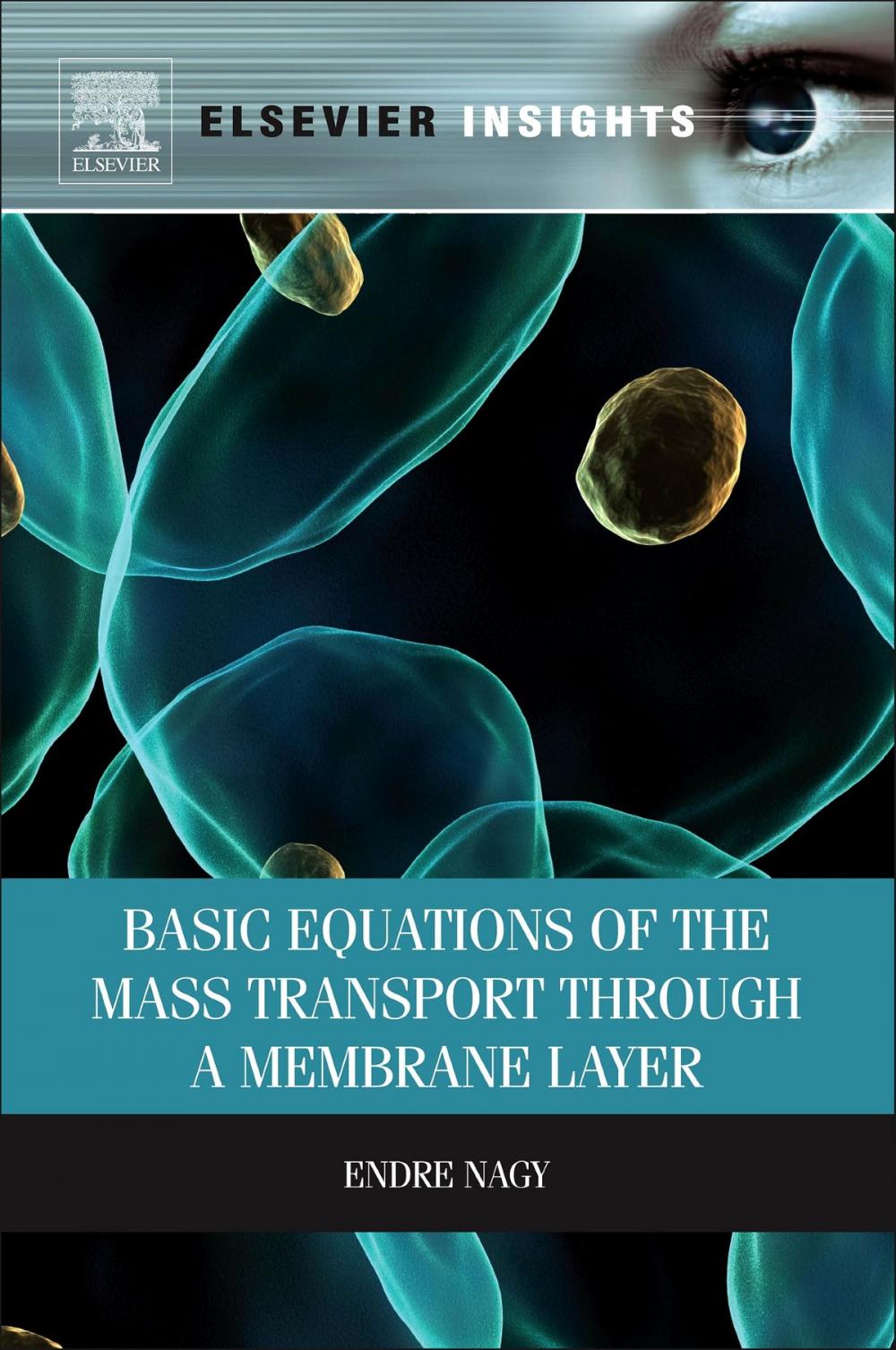 Big bigCover of Basic Equations of the Mass Transport through a Membrane Layer