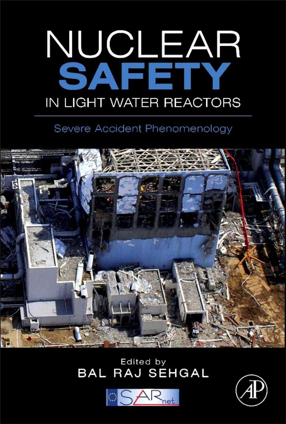 Big bigCover of Nuclear Safety in Light Water Reactors