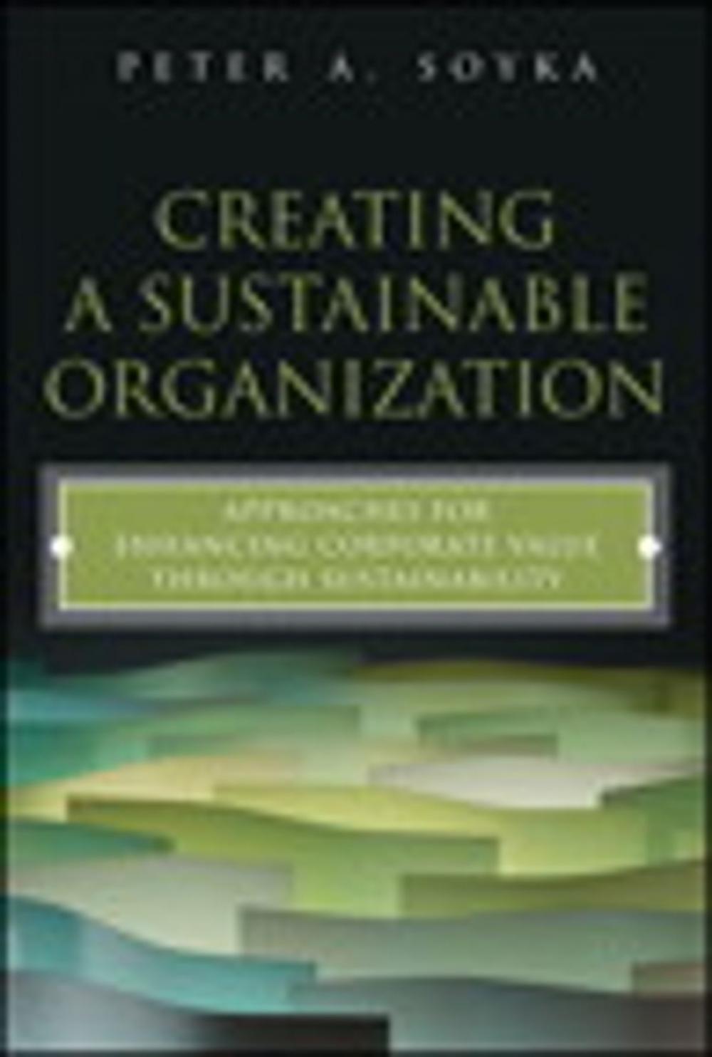 Big bigCover of Creating a Sustainable Organization