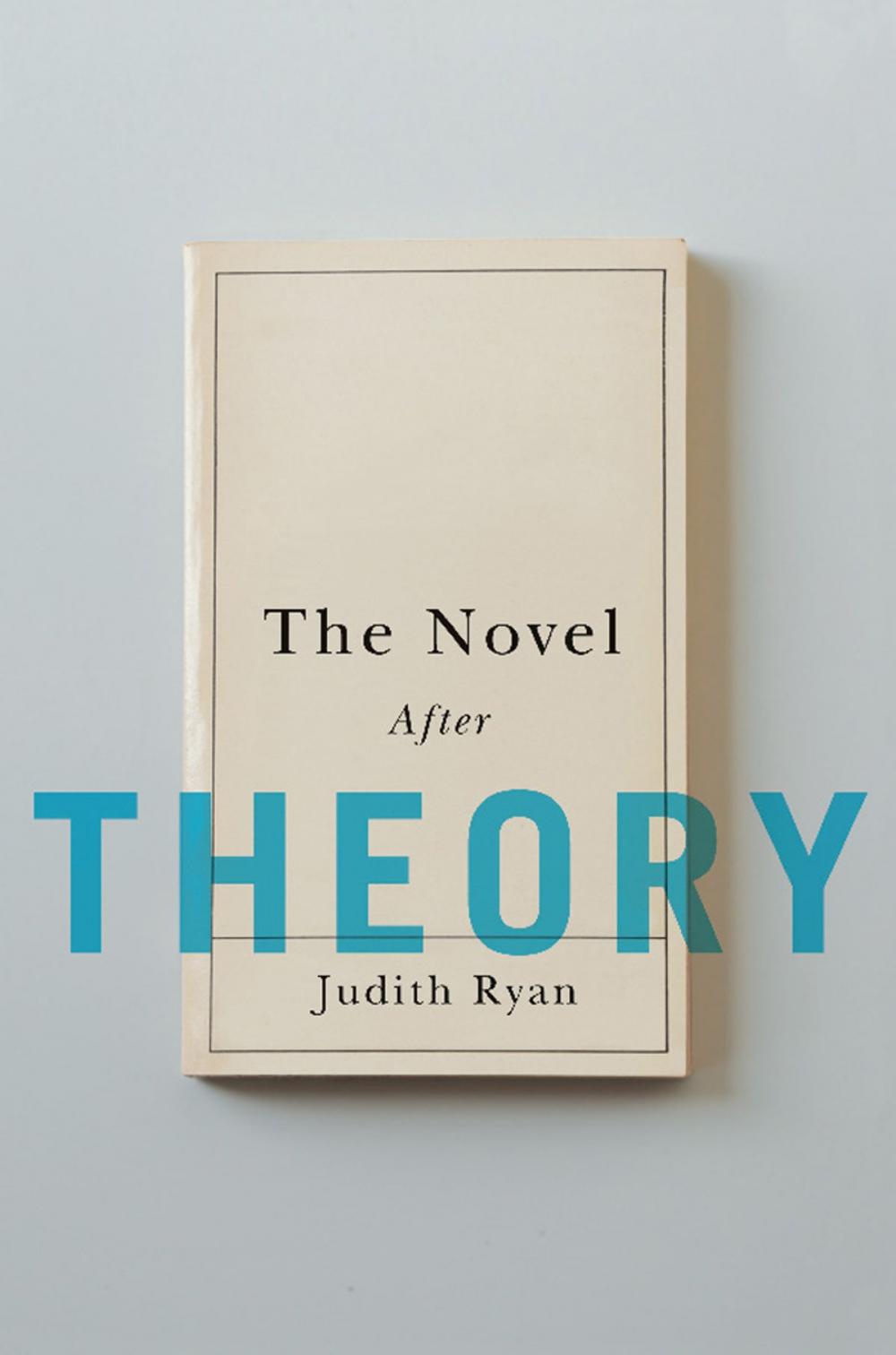 Big bigCover of The Novel After Theory