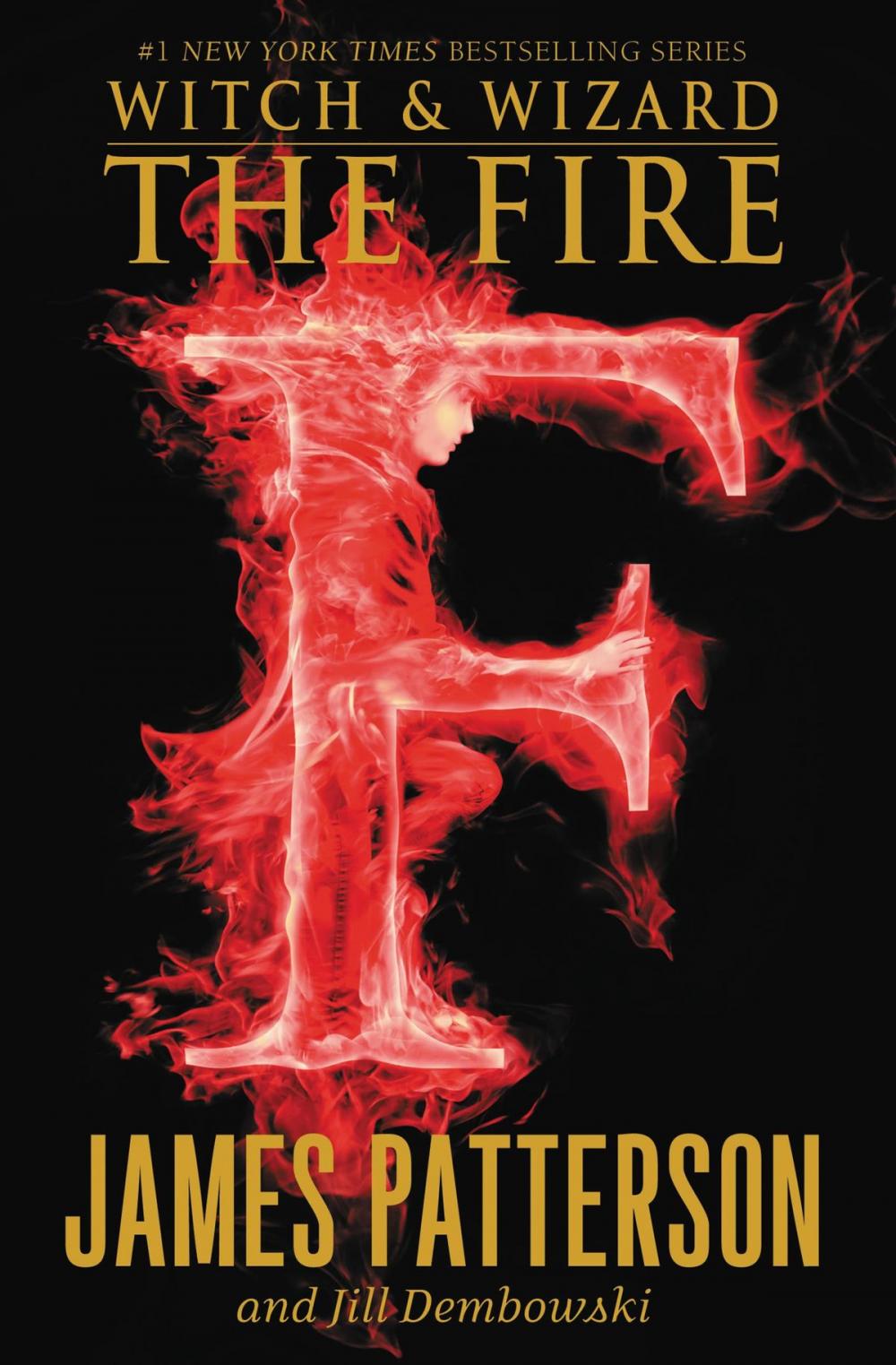 Big bigCover of The Fire