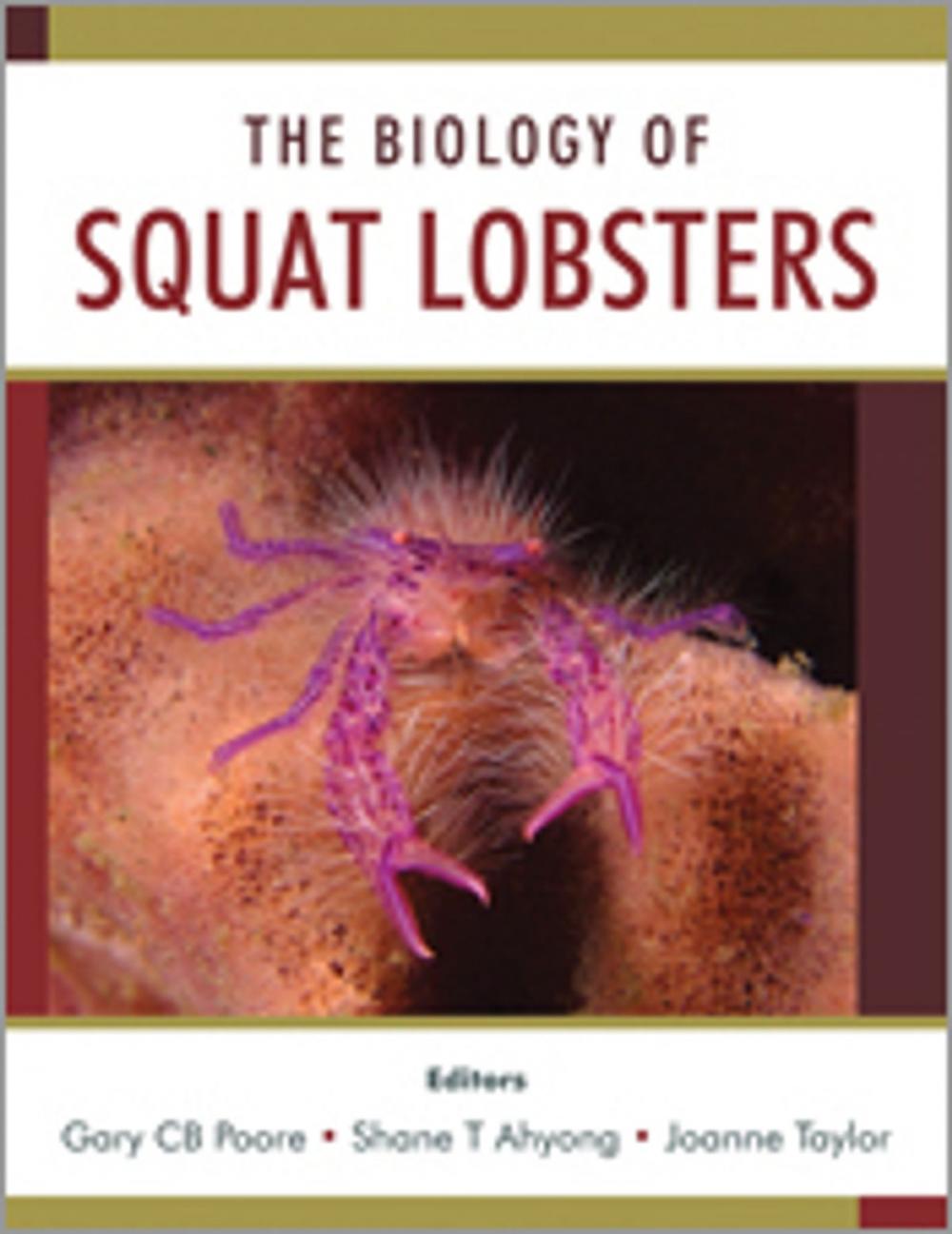 Big bigCover of The Biology of Squat Lobsters