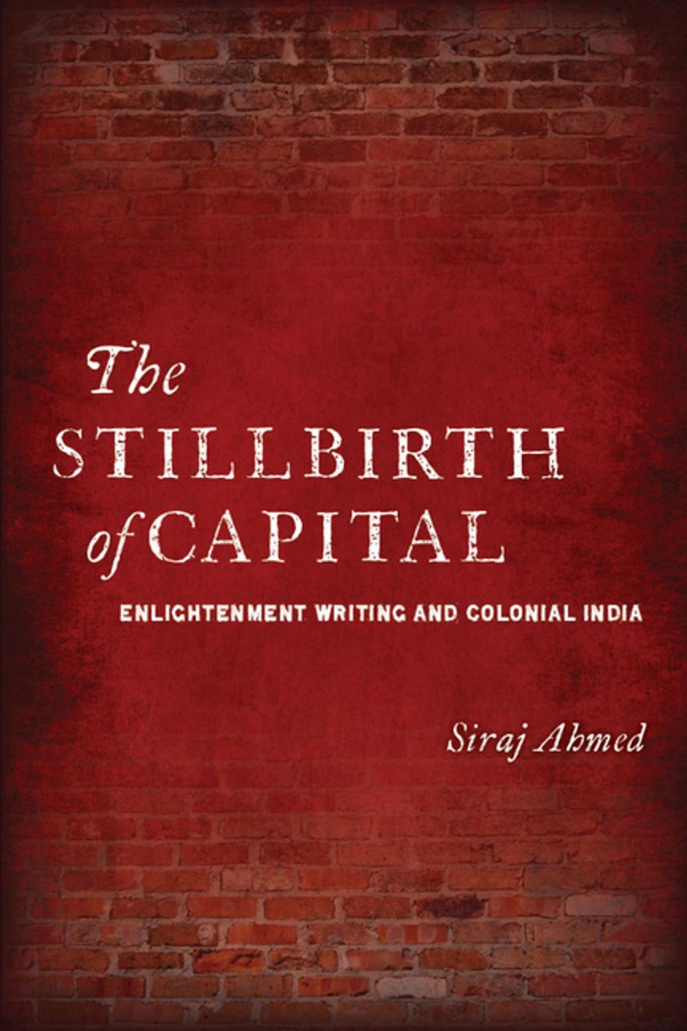 Big bigCover of The Stillbirth of Capital