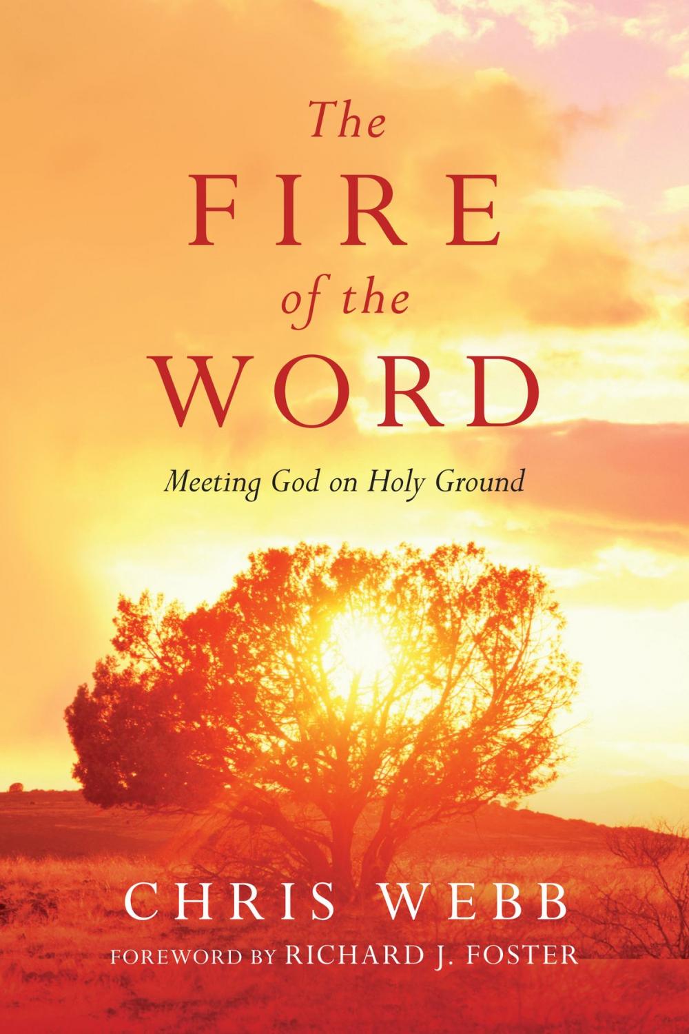 Big bigCover of The Fire of the Word