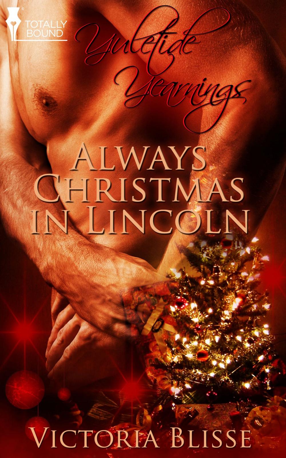 Big bigCover of Always Christmas in Lincoln