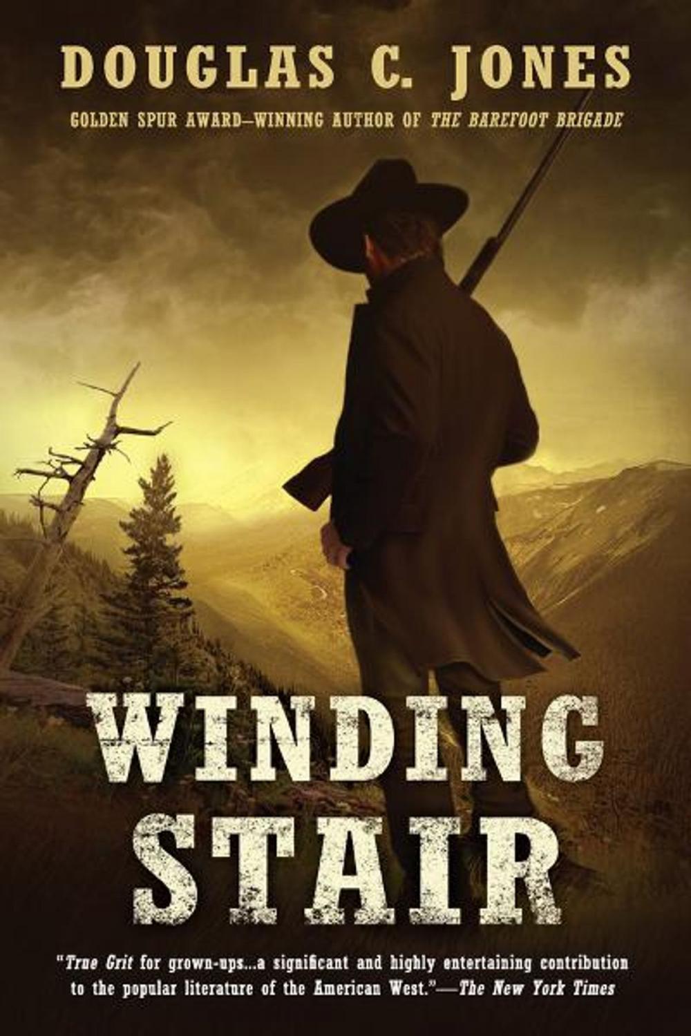 Big bigCover of Winding Stair