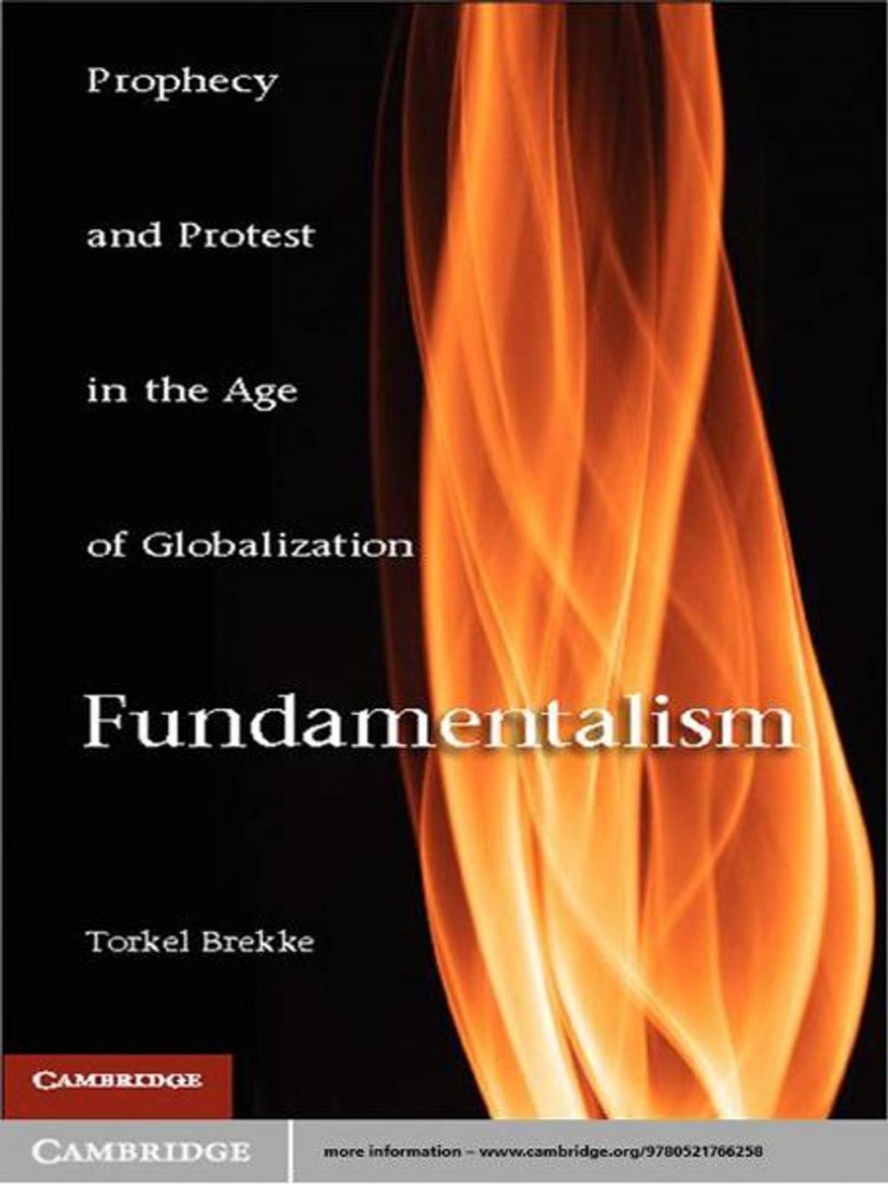 Big bigCover of Fundamentalism