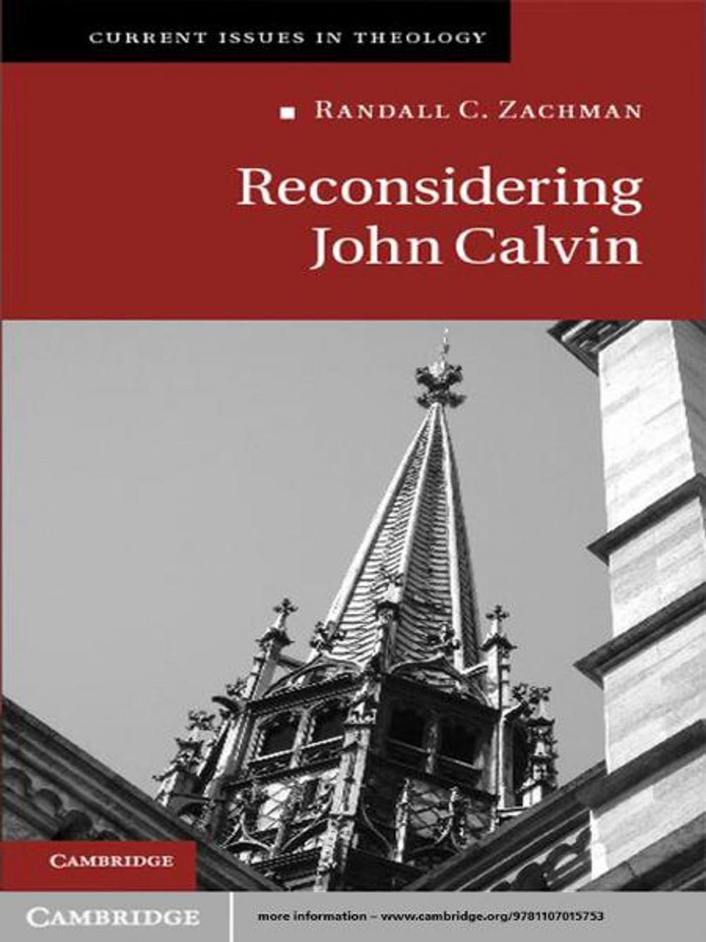 Big bigCover of Reconsidering John Calvin