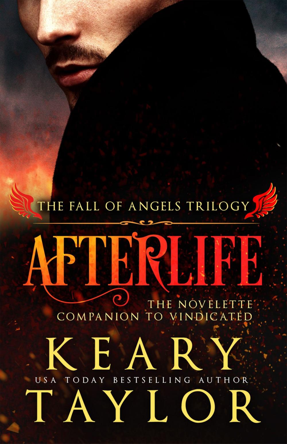 Big bigCover of Afterlife: a Fall of Angels novelette