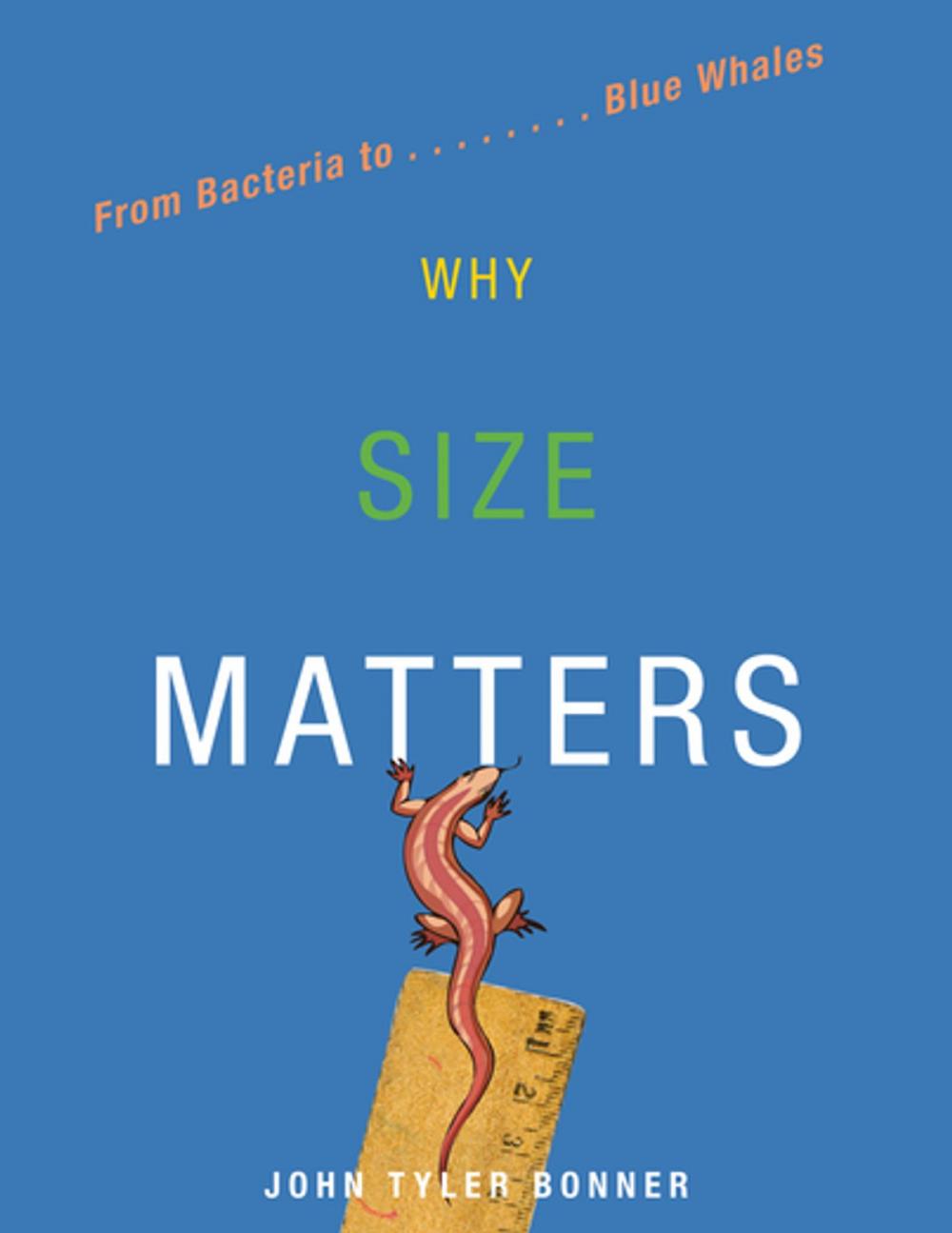 Big bigCover of Why Size Matters