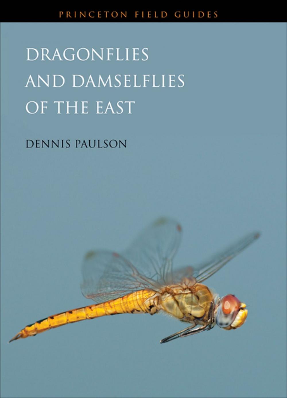 Big bigCover of Dragonflies and Damselflies of the East