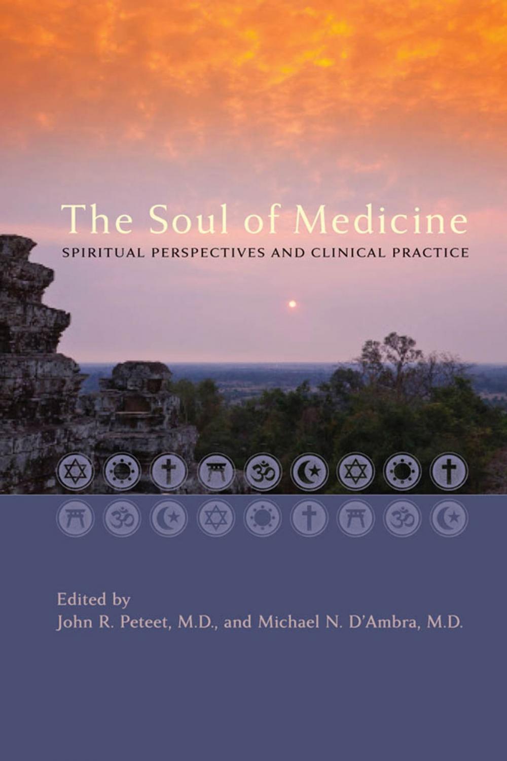 Big bigCover of The Soul of Medicine