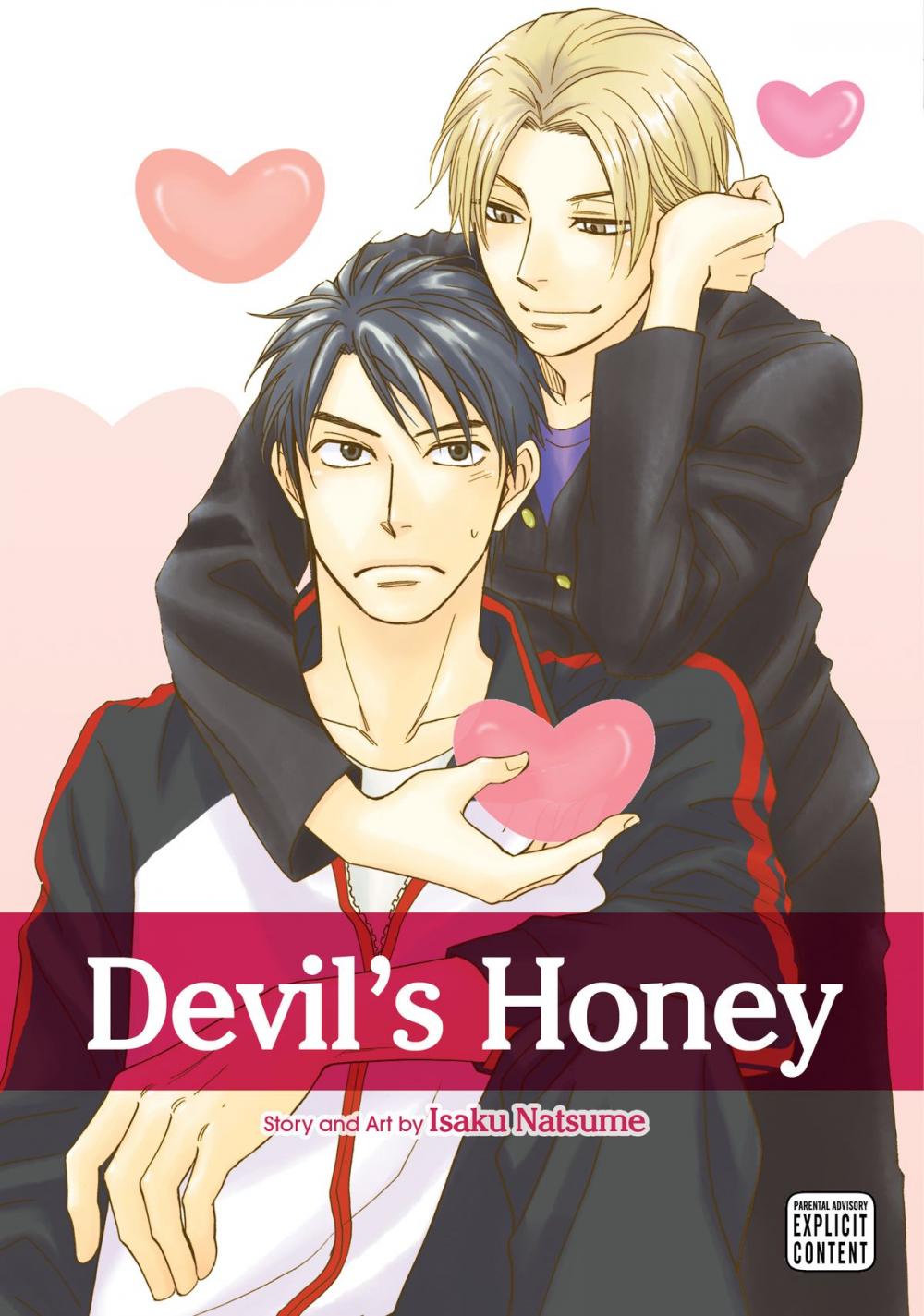 Big bigCover of Devil's Honey (Yaoi Manga)