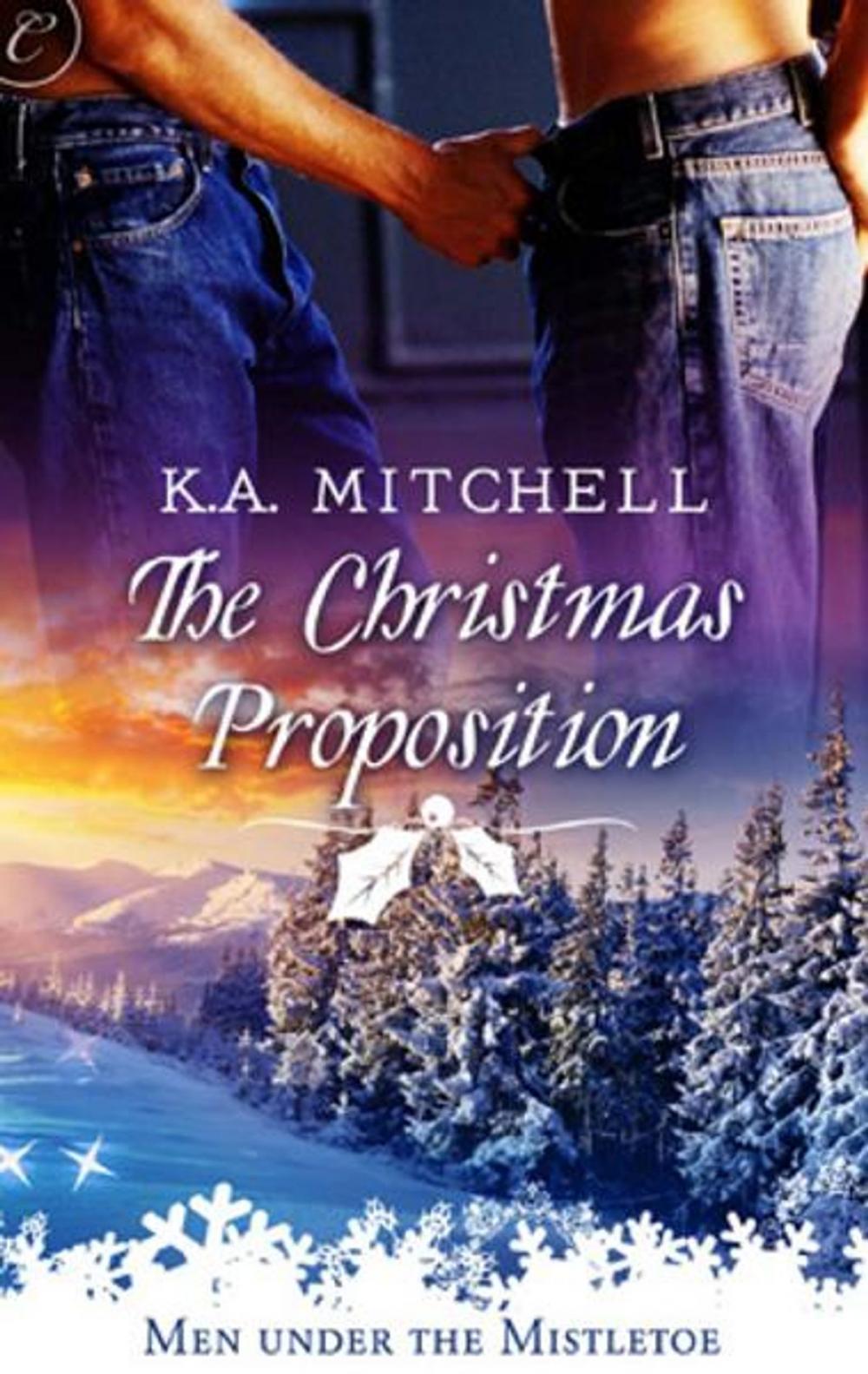 Big bigCover of The Christmas Proposition