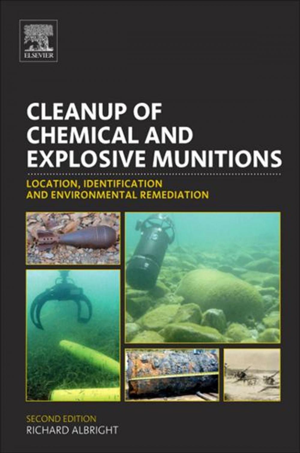 Big bigCover of Cleanup of Chemical and Explosive Munitions