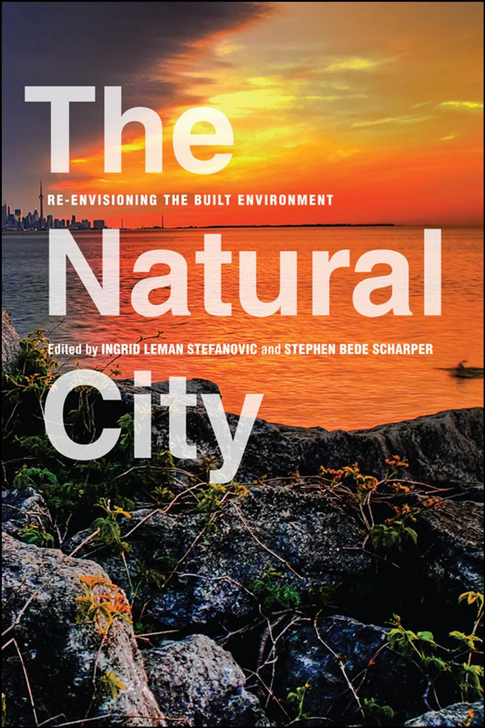 Big bigCover of The Natural City