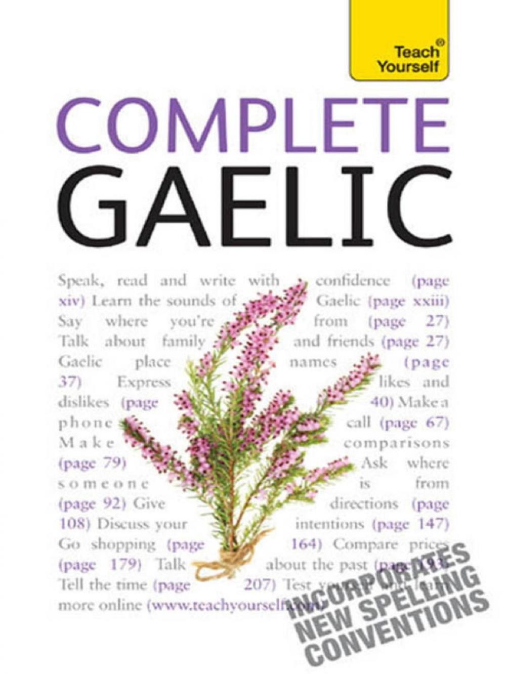 Big bigCover of Complete Gaelic Beginner to Intermediate Book and Audio Course