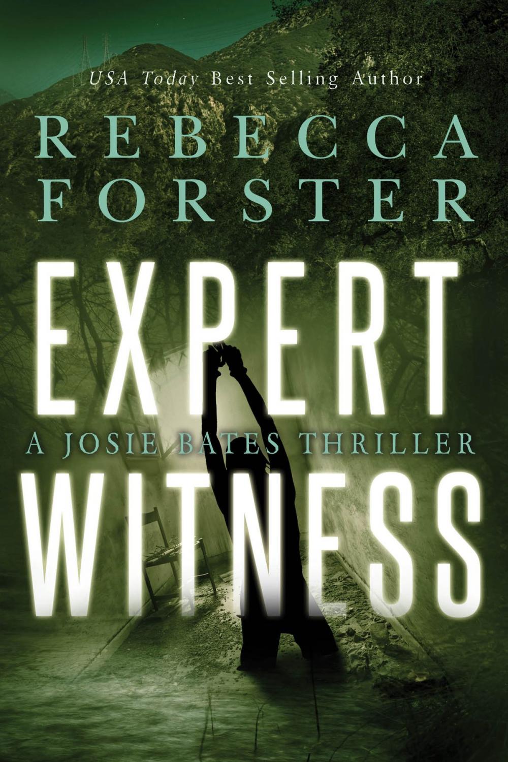 Big bigCover of Expert Witness