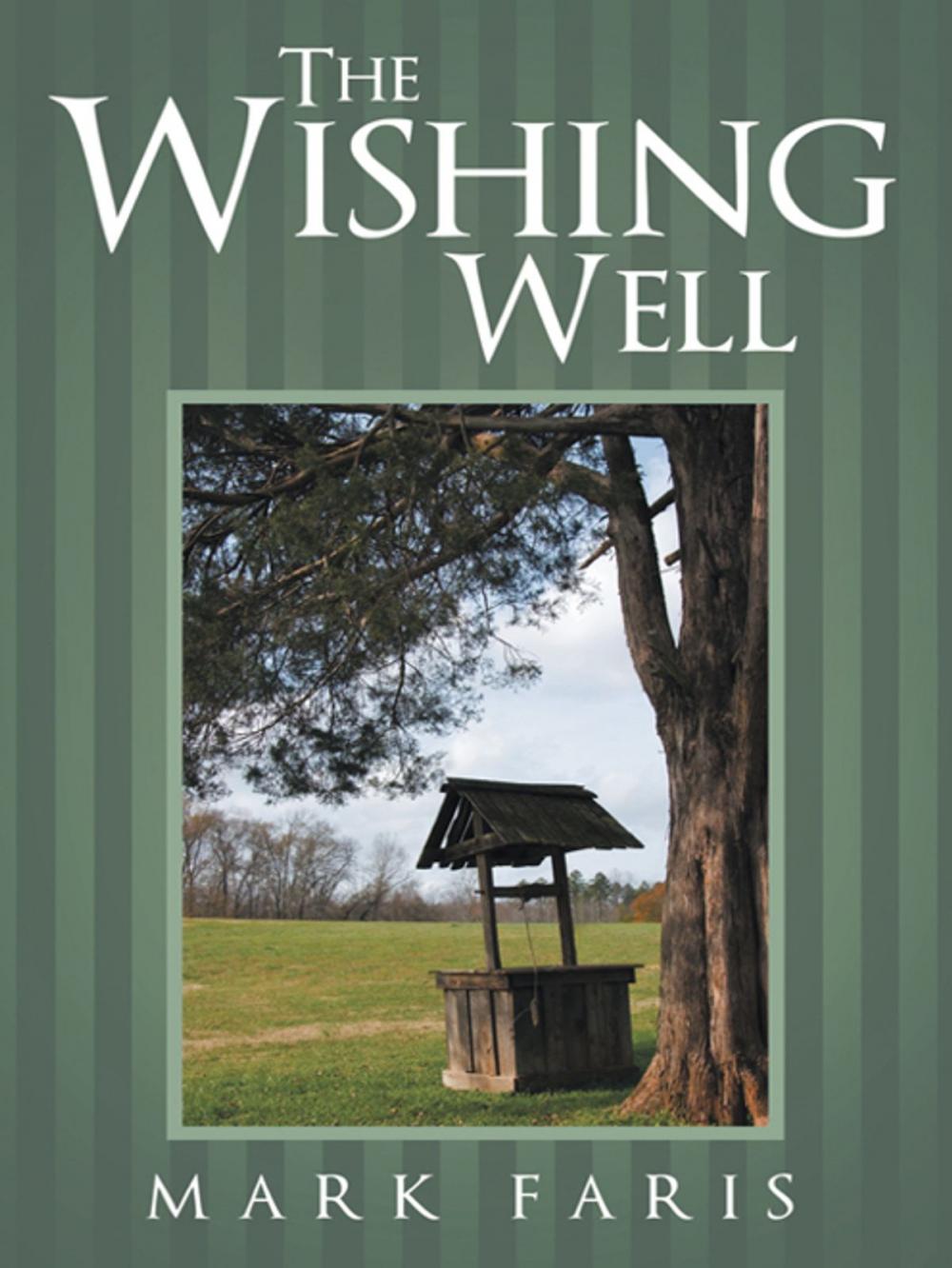 Big bigCover of The Wishing Well