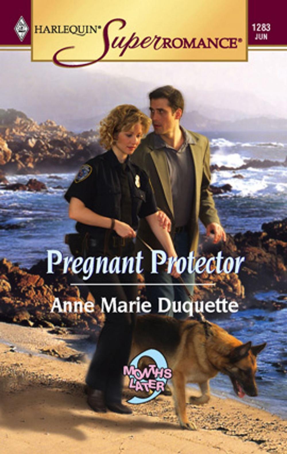 Big bigCover of Pregnant Protector