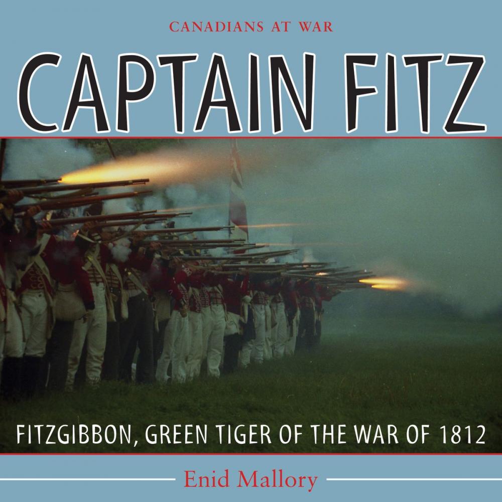 Big bigCover of Captain Fitz