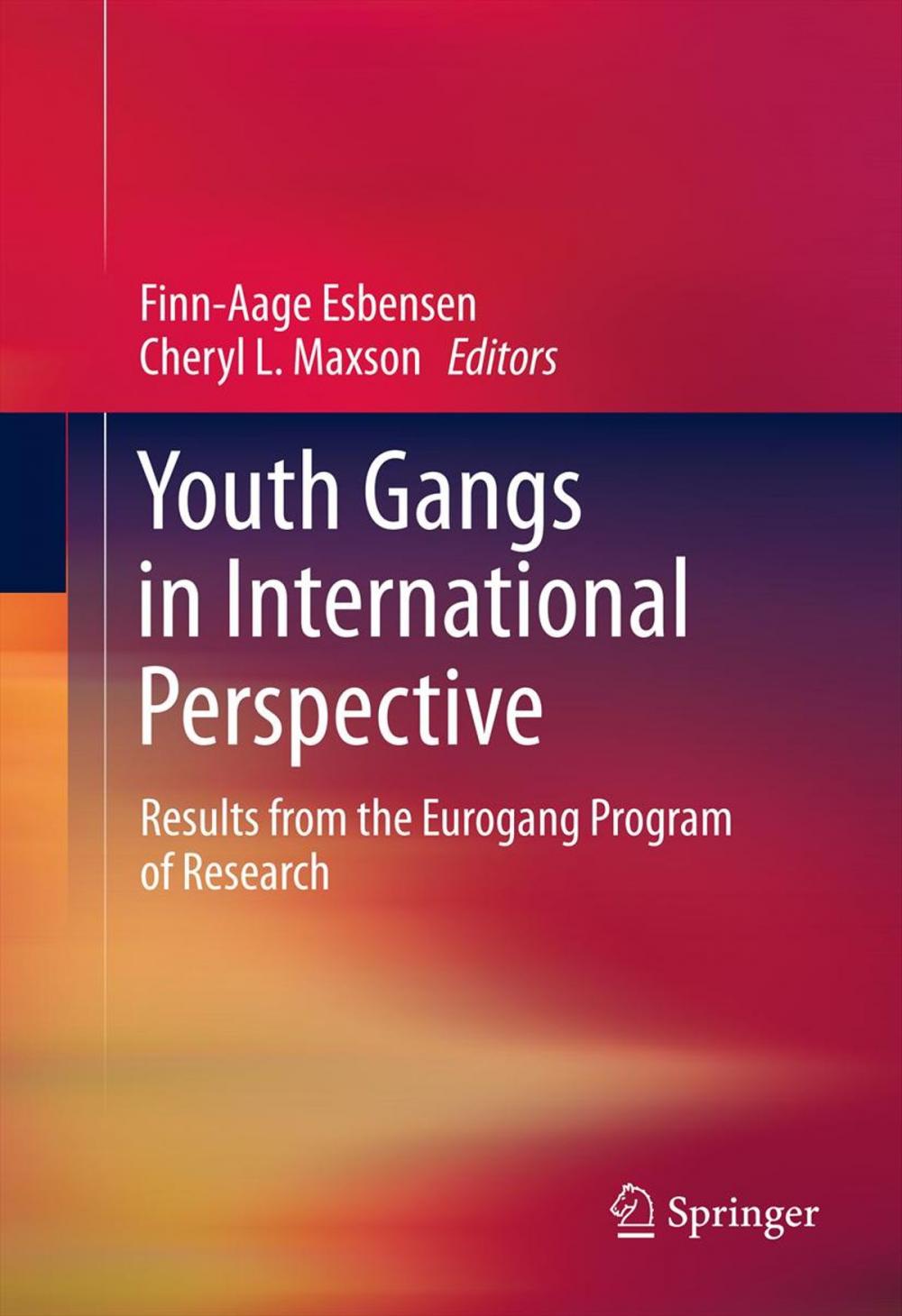 Big bigCover of Youth Gangs in International Perspective
