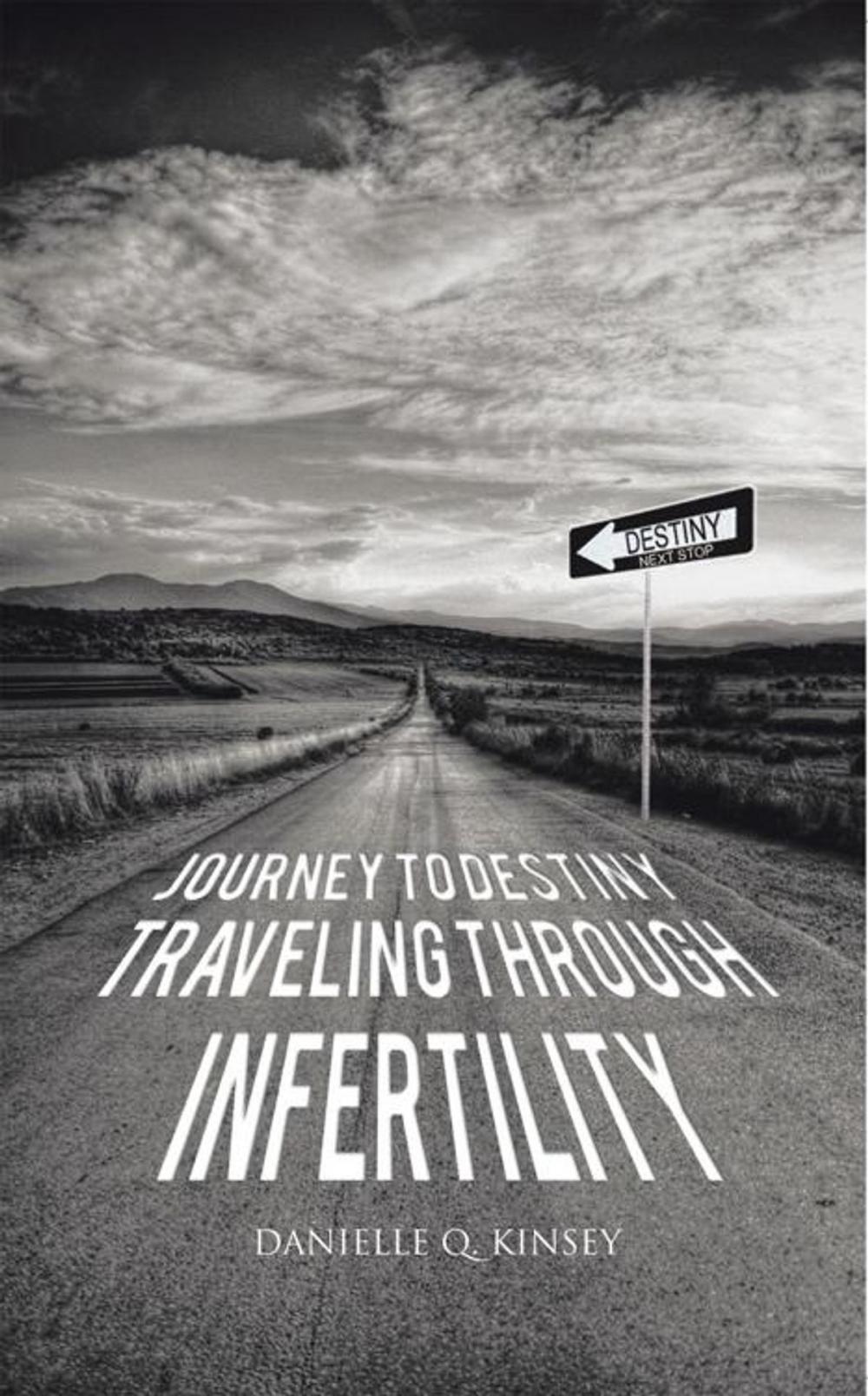 Big bigCover of Journey to Destiny, Traveling Through Infertility