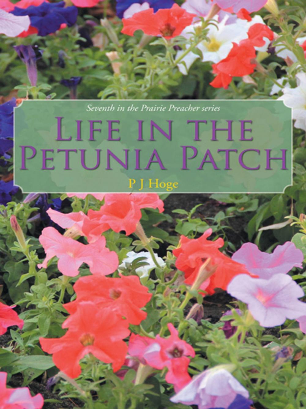 Big bigCover of Life in the Petunia Patch