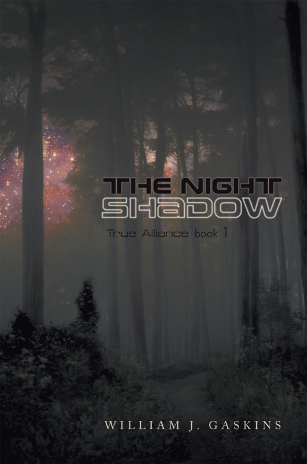 Big bigCover of The Night Shadow