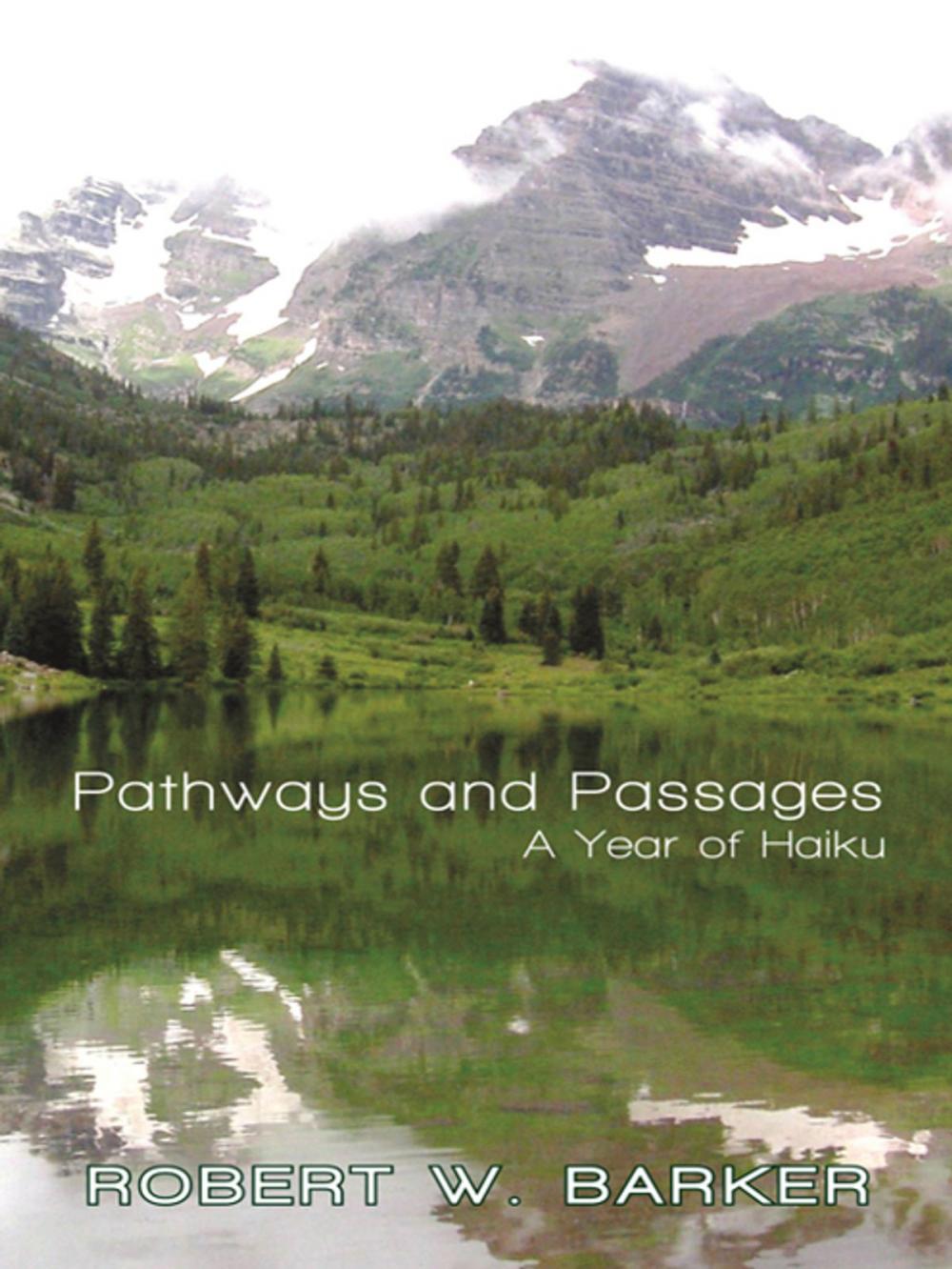 Big bigCover of Pathways and Passages