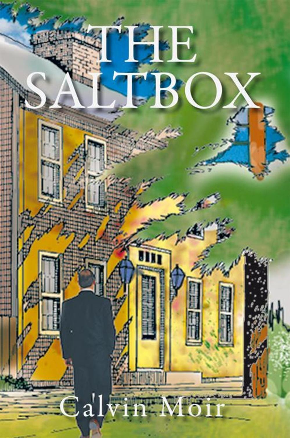 Big bigCover of The Saltbox