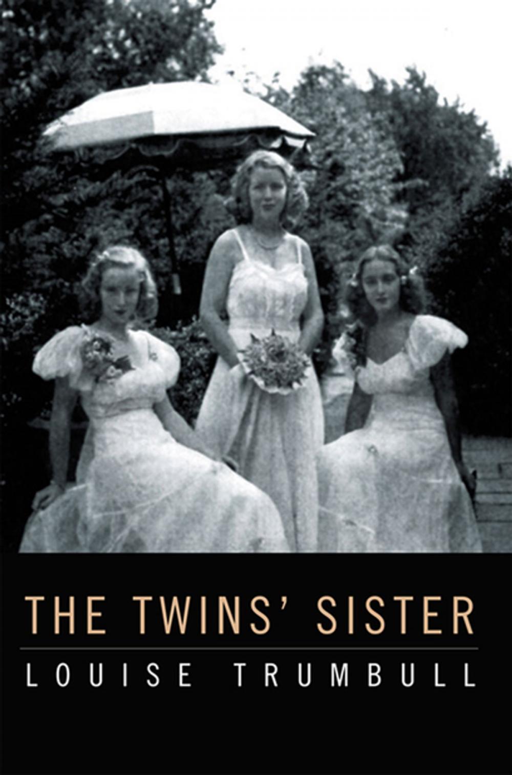 Big bigCover of The Twins' Sister