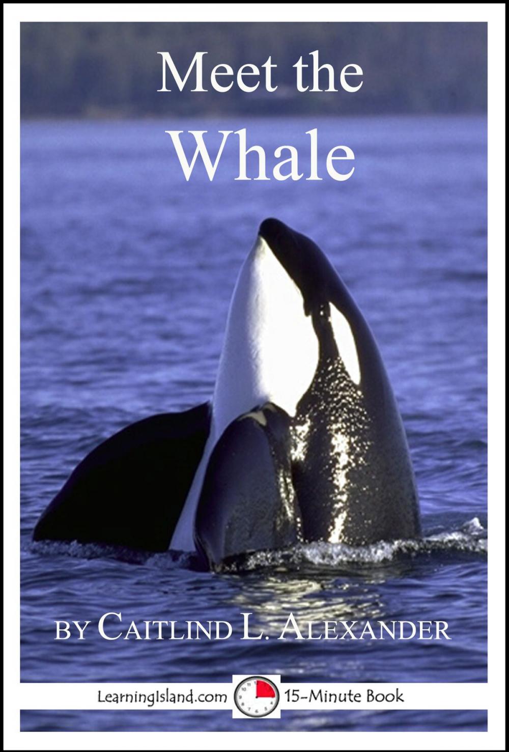 Big bigCover of Meet the Whale: A 15-Minute Book