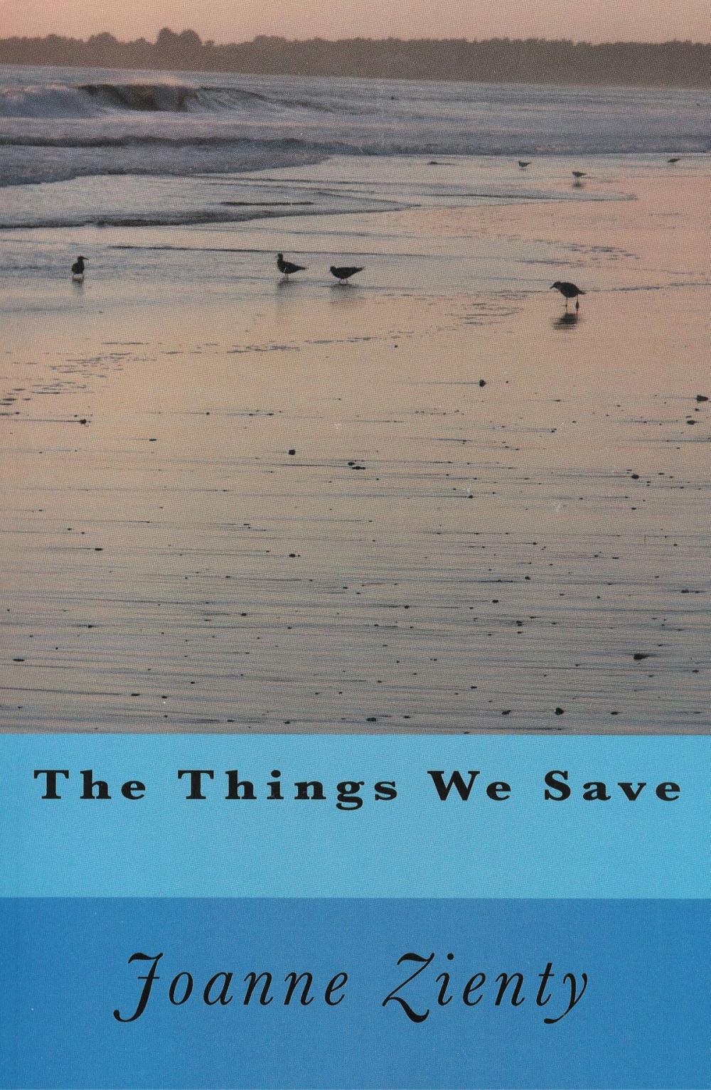 Big bigCover of The Things We Save