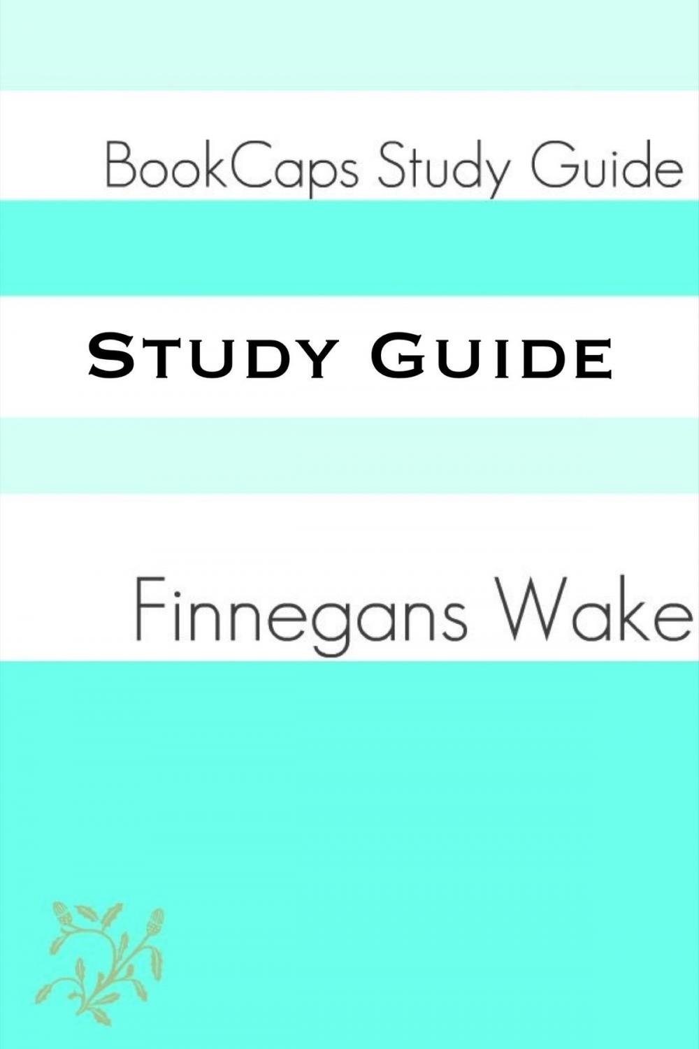 Big bigCover of Study Guide: Finnegan’s Wake (A BookCaps Study Guide)