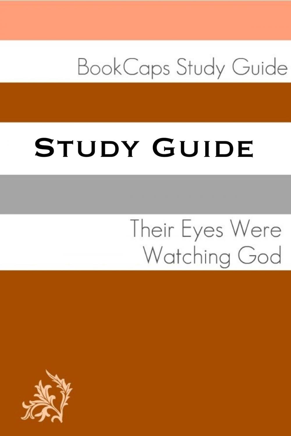 Big bigCover of Study Guide: Their Eyes Were Watching God (A BookCaps Study Guide)