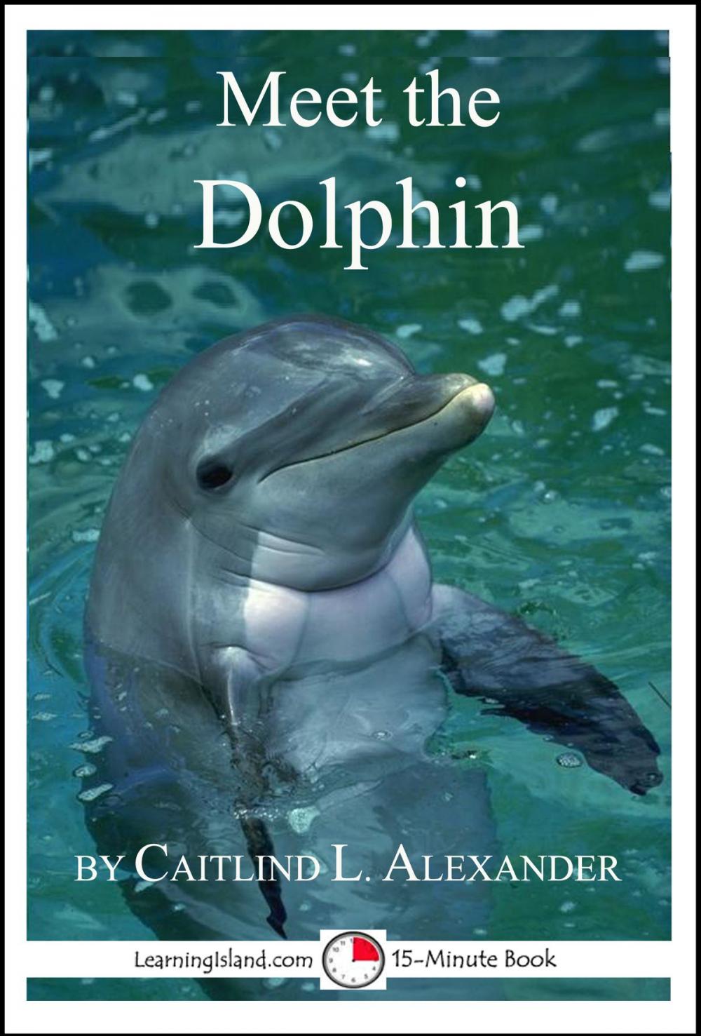 Big bigCover of Meet the Dolphin: A 15-Minute Book