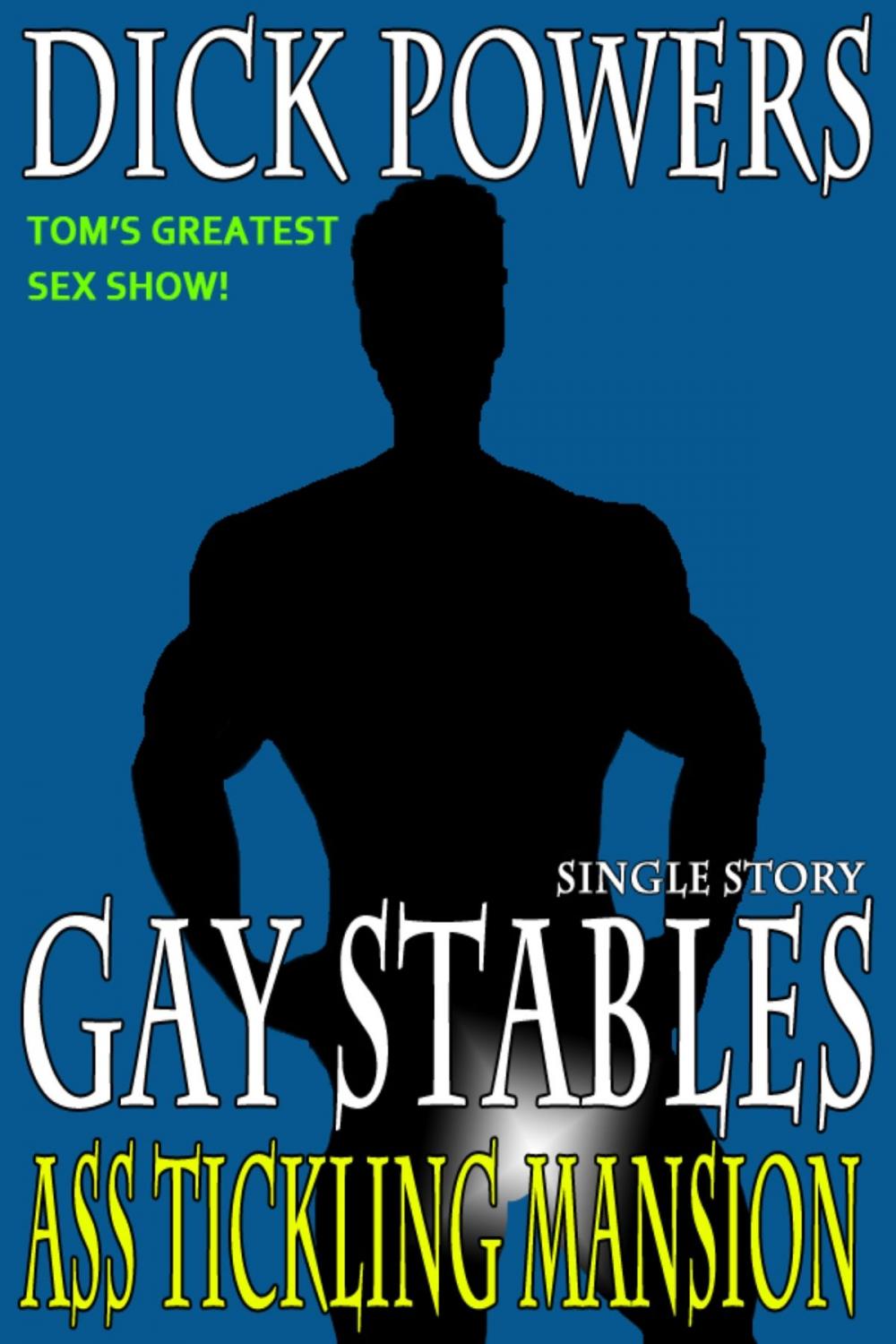 Big bigCover of Ass Tickling Mansion (Gay Stables #2)