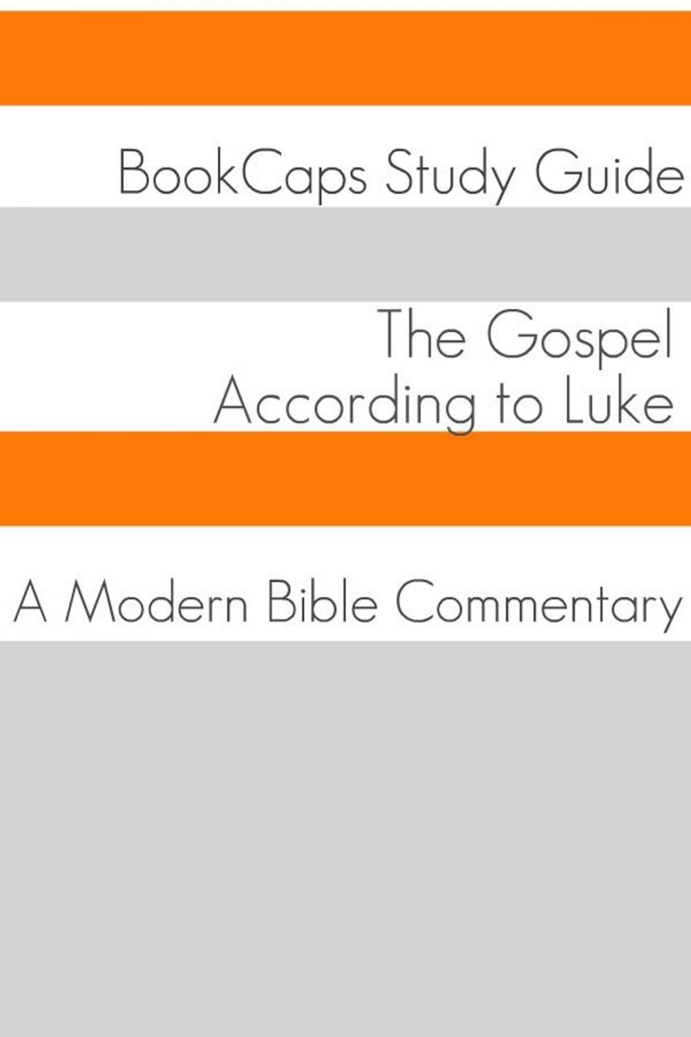 Big bigCover of The Gospel of Luke: A Modern Bible Commentary