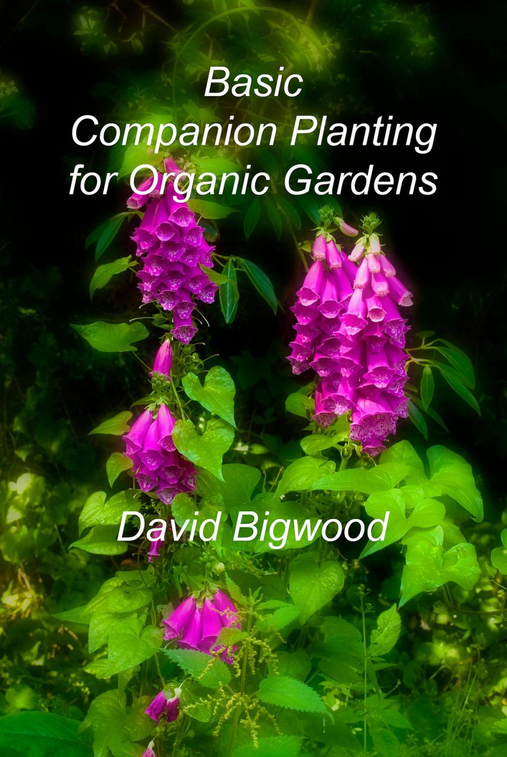 Big bigCover of Basic Companion Planting for Organic Gardens