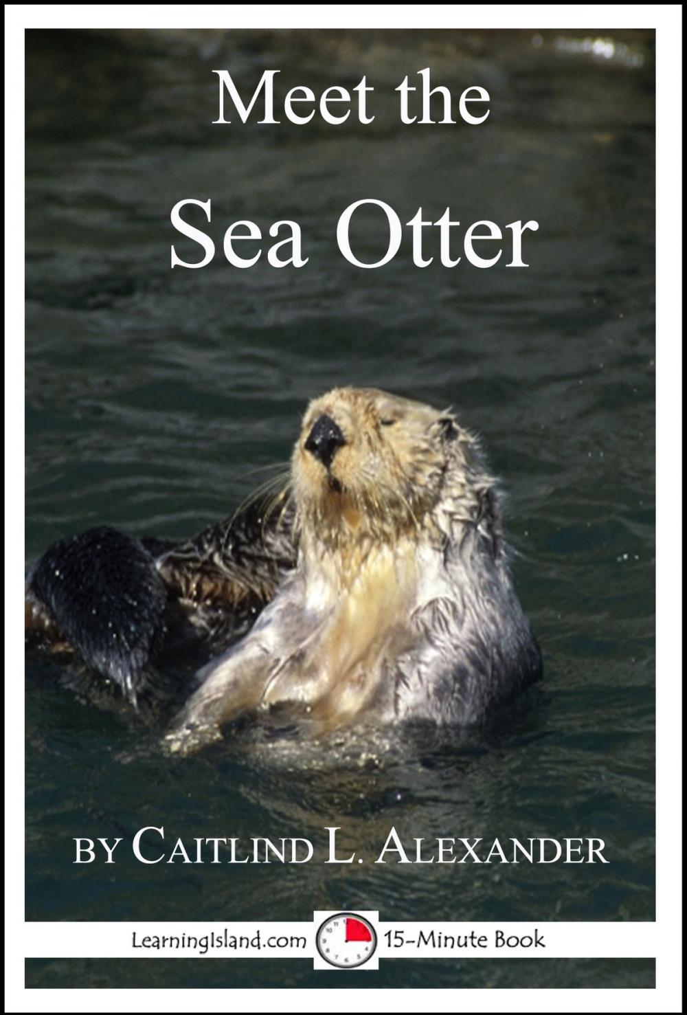 Big bigCover of Meet the Sea Otter: A 15-Minute Book