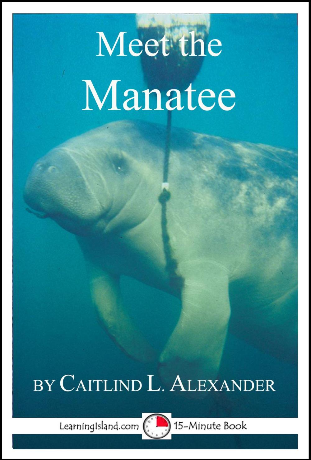 Big bigCover of Meet the Manatee: A 15-Minute Book