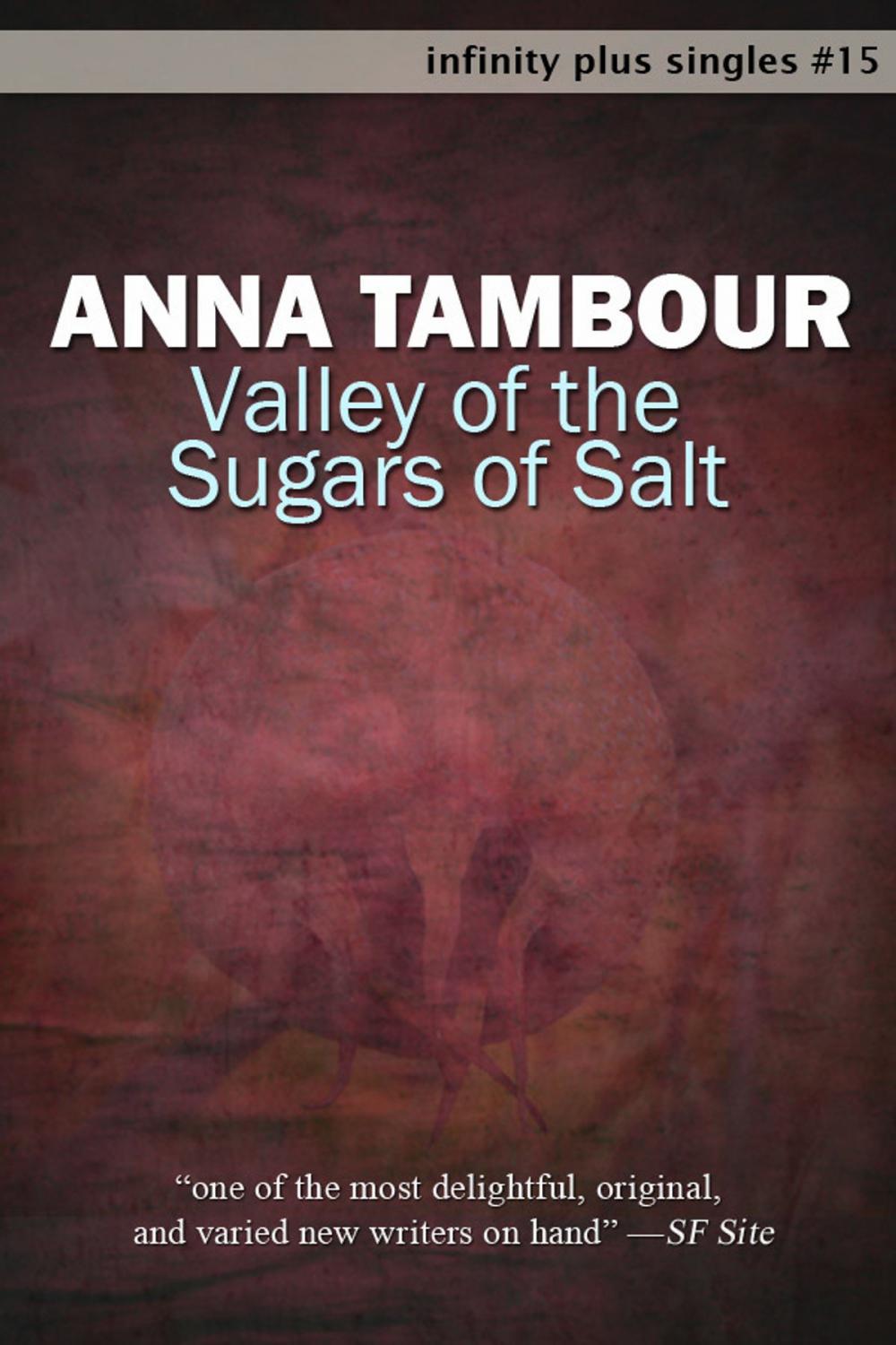 Big bigCover of Valley of the Sugars of Salt