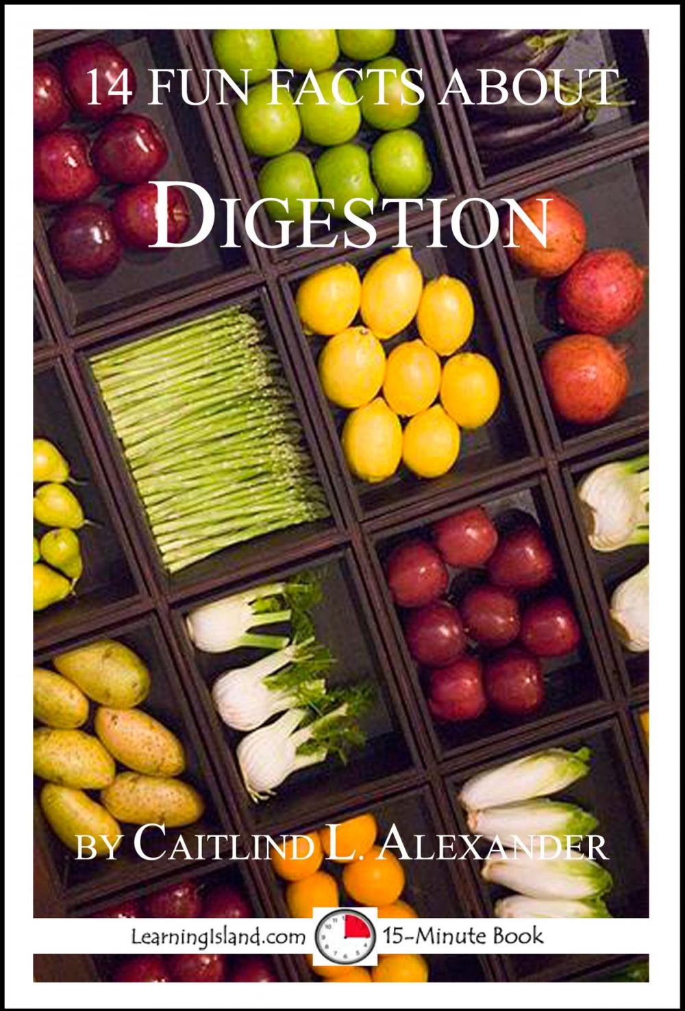 Big bigCover of 14 Fun Facts About Digestion: A 15-Minute Book