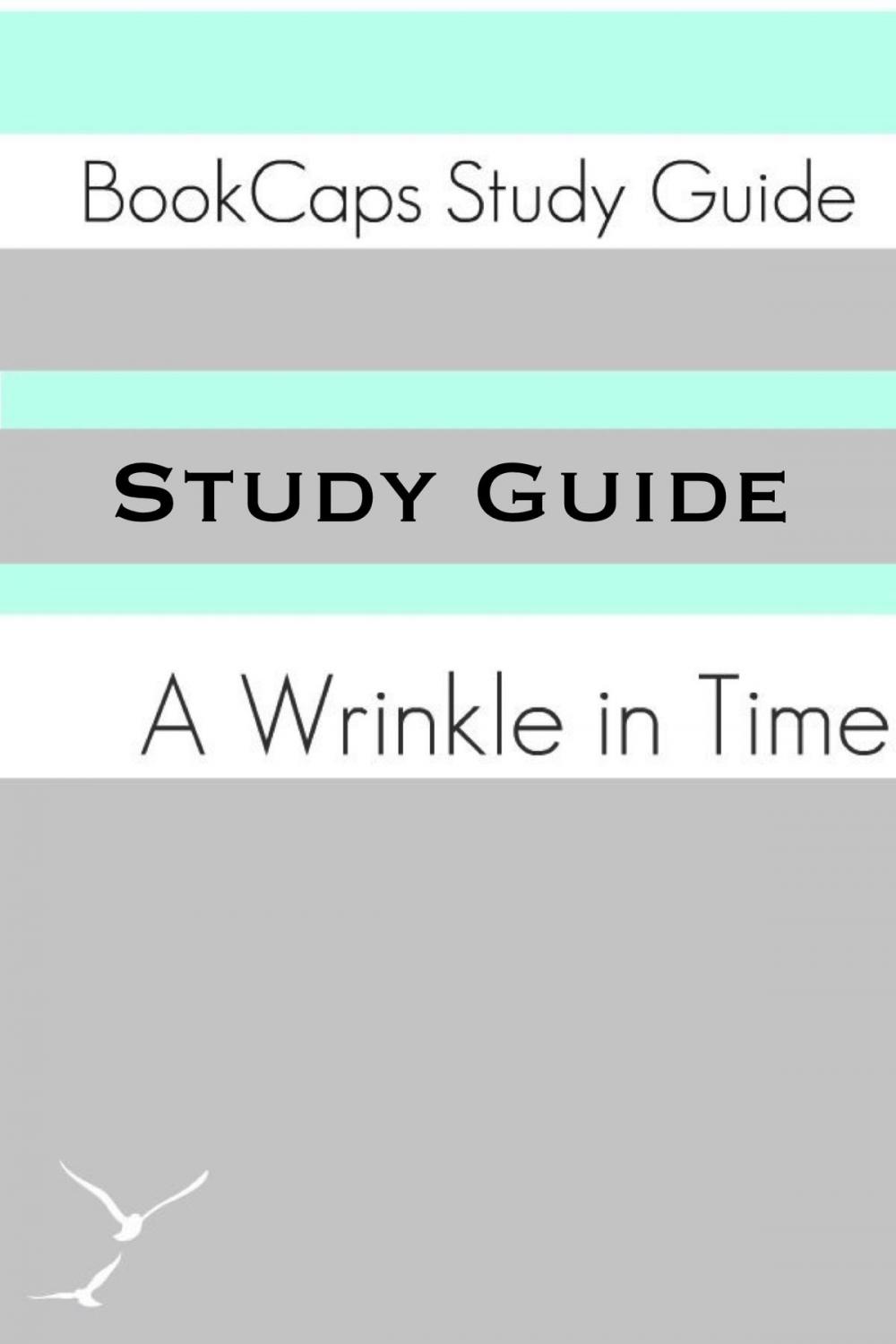 Big bigCover of Study Guide: A Wrinkle in Time (A BookCaps Study Guide)