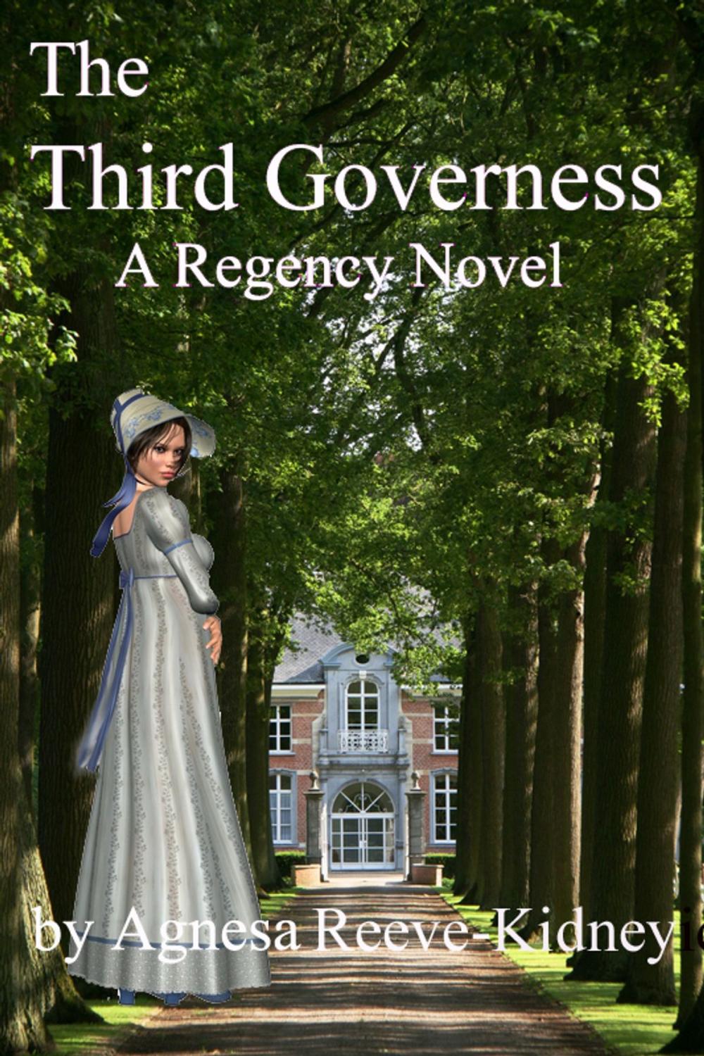 Big bigCover of The Third Governess