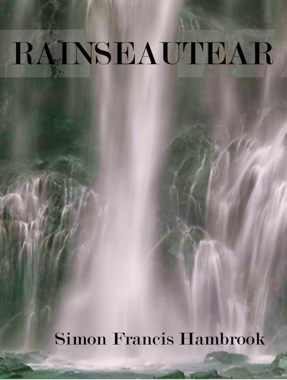 Big bigCover of Rainseautear