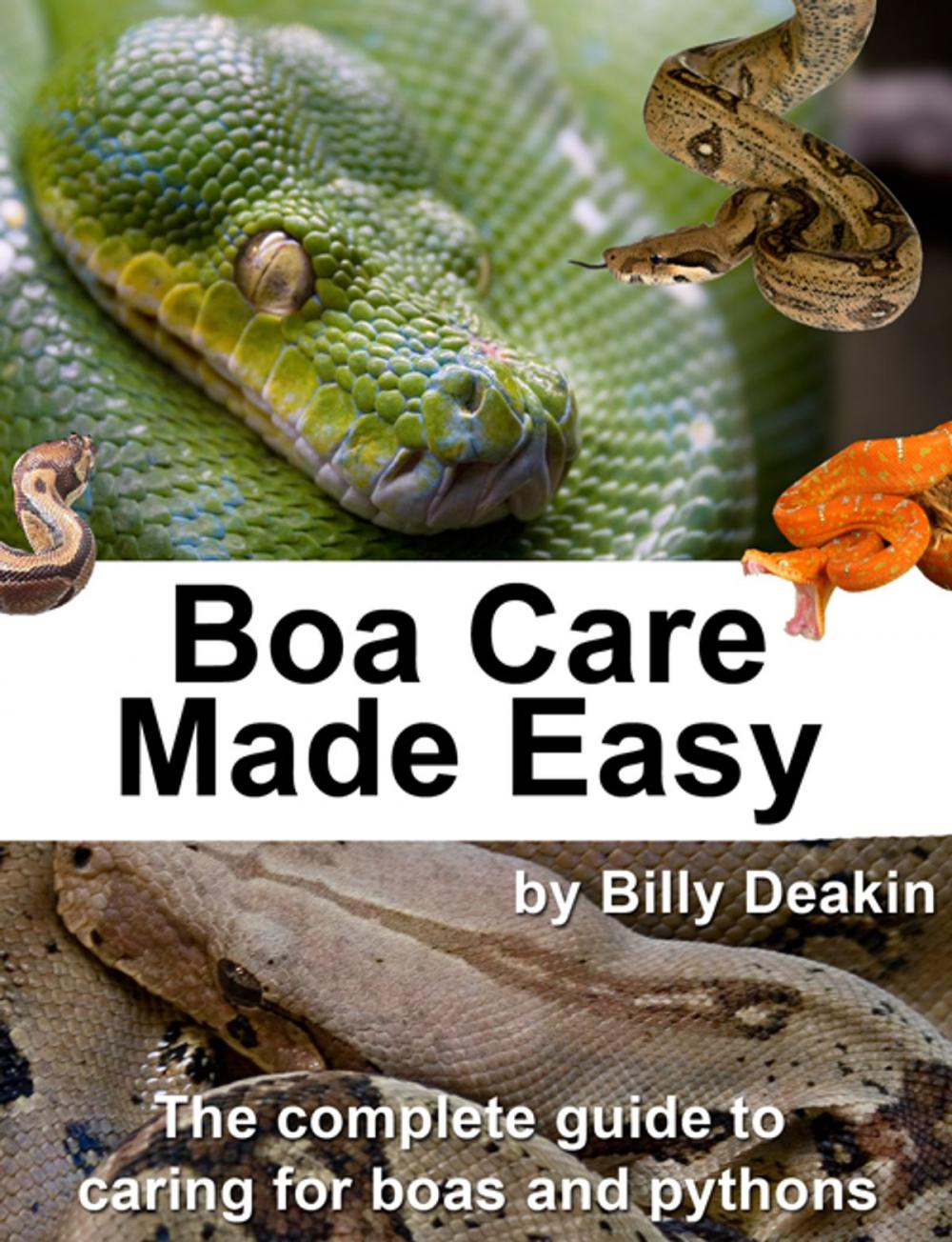 Big bigCover of Boa Care Made Easy